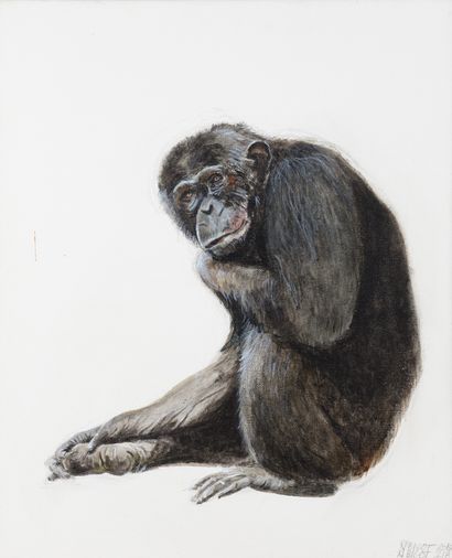 null Nicolas BIGOT. Chimpanzee. Acrylic on canvas board signed and dated 2018 lower...