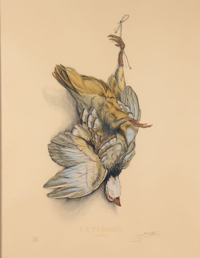null Jérôme TROLLIER. The red partridge. The grey partridge. Two engravings in colors...