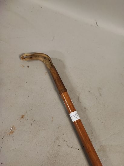 null Nice whip, horn handle, wood handle and leather tip.
