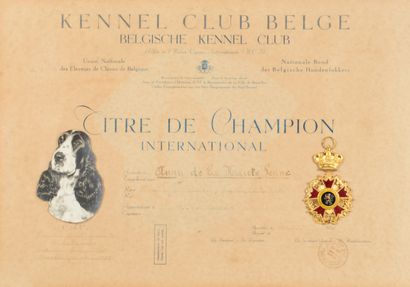 Kennel Club Belge. Titre de Champion international...