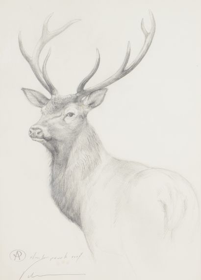 null Blaise PRUDHON. Study for the stag. Pencil signed and titled lower left, artist's...