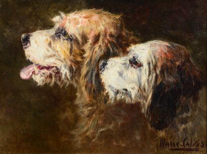null Marie CALVES. Two Griffons-Vendéens. Oil on canvas signed lower right and framed....