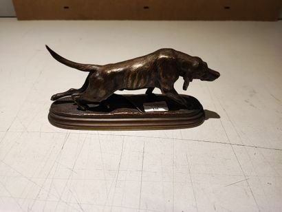null Victor CHEMIN (1825-1901). Dog of a pack stretching. Bronze with light brown...