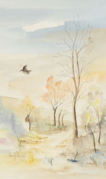 null Marie José BEGON. Woodcock in flight. Watercolor on paper signed on the lower...