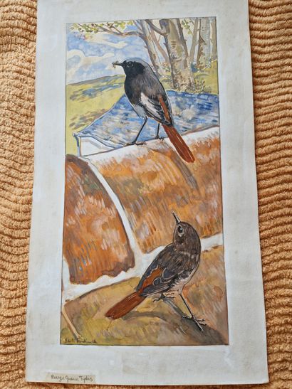 null Jean de LA FONTINELLE (1900-1974). Two red tails. Watercolor on paper signed...