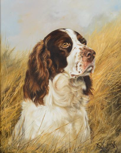 null Pierre COUZY (1942). French Spaniel. Oil on canvas signed in the lower right...