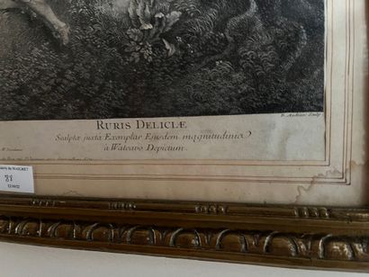null D’après WATTEAU (1684-1721)

Amusements champêtres

Gravure en noir. Mouillures.

45,5...