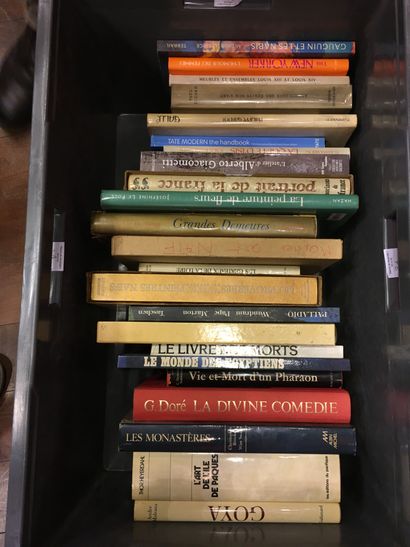 null 
Lot of art books including Goya, Giacometti (2 boxes)
