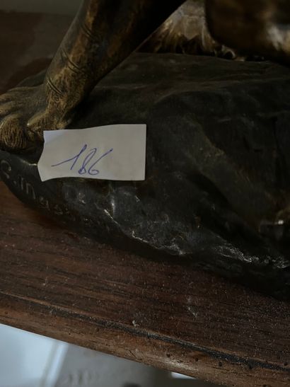 null Tigre et serpent 

Bronze signé sur la terrasse C Masson 

Long : 38 cm 

U...