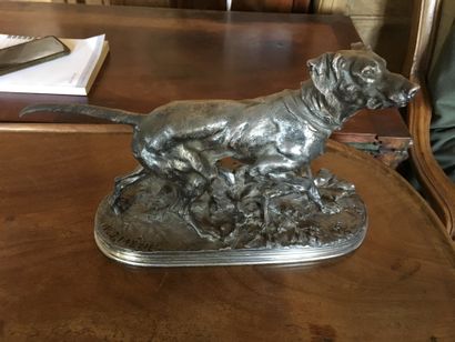 Dog in bronze with silver patina signed PJ...