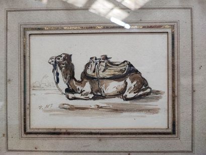 null 19th century school, Camel in profile, wash, monogrammed P.M., 10 x 14 cm