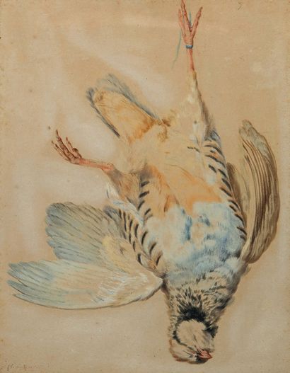Jean-Baptiste HUET (Paris 1745-1811) Partridge
Pastel.

Provenance: 
Maurice Aicardi...