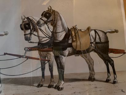 null D’après Albert ALDAM (1833- ?)
Deux lithographies en couleurs « Chevaux et calèche...