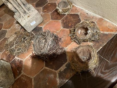 null Lot of 11 bird nests
Sold as is


COLLECTION by appointment and PRESENTATION...