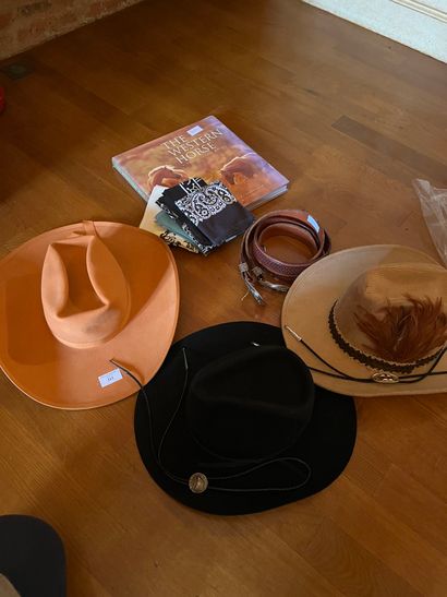 null Set of three texan hats : 
beige velvet with feathers signed STUDS, rust felt...