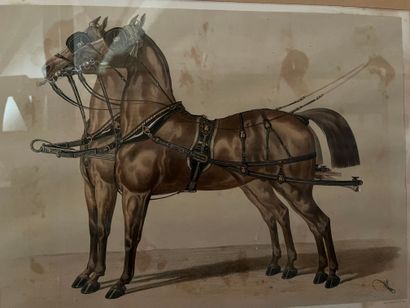 null After Albert ADAM (1833- ?)
Set of five color lithographs representing horses.
Stains....