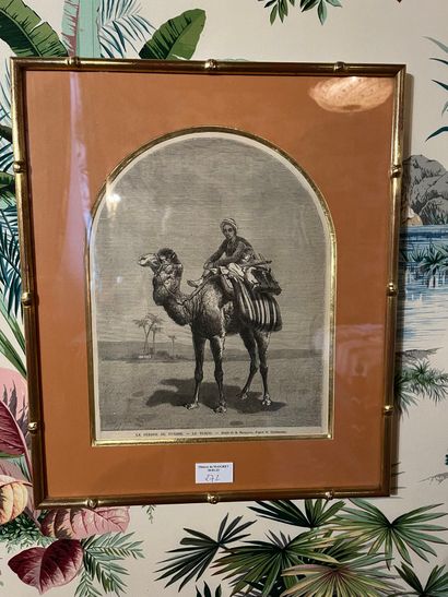 null Set of framed pieces: "The Camel", Epinal image 
Types of the Egyptian people...