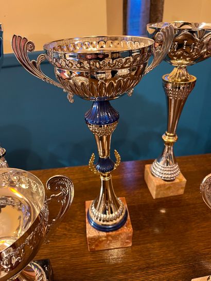 null Lot of cups of equestrian competitions (wear)

COLLECTION by APPOINTMENT and...