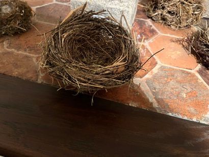 null Lot de 11 nids d’oiseaux
Vendu en l'état


ENLEVEMENT sur RENDEZ-VOUS et PRESENTATION...