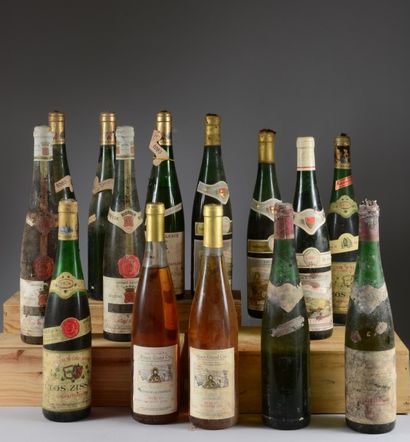 14 bouteilles ALSACE (Rolly Gassmann Pinot...