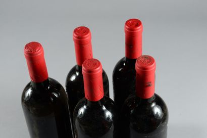null 5 bouteilles ROSSO DEI COLLI DELLA TOSCANA CENTRALE Schidione 1993 (es)