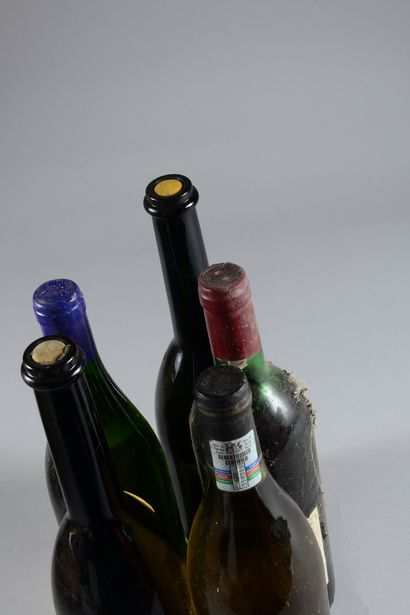 null 5 bouteilles VINS DIVERS (1 Tinto 1988 Reserva, Platano Velho, es, MB, 1 Château...