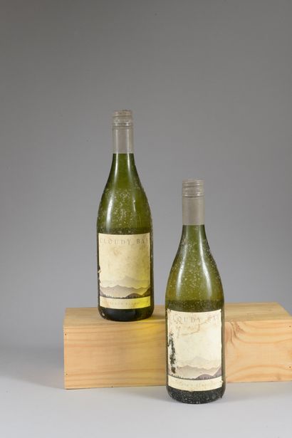 2 bouteilles MARLBOROUGH Sauvignon Blanc,...