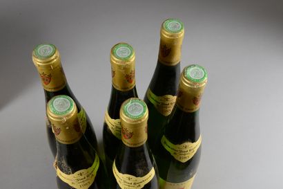 null 6 bouteilles PINOT GRIS "V.T. & V.V.", Zind-Humbrecht 1985 (elt, 1 TLB)