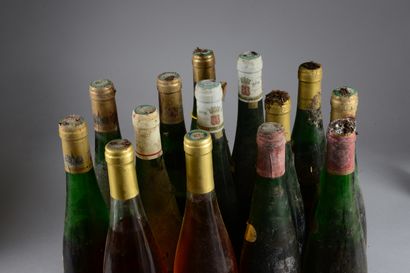 null 14 bouteilles ALSACE (Rolly Gassmann Pinot gris 1985, LB, 1 SE, 2 Pinot gris...