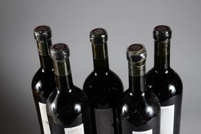 null 5 bottles MENDOZA "Alfacrux", O. Fournier 2001 (es, et, ela, 2 J)