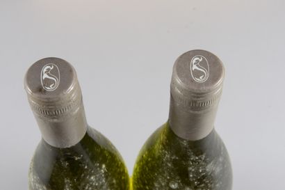 null 2 bottles MARLBOROUGH Sauvignon Blanc, Cloudy Bay 2004 (and, ea)