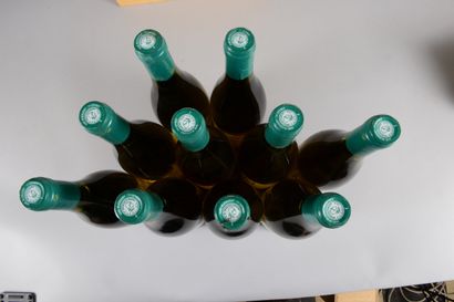 null 10 bouteilles MACON "Les Creys vers Vaux", Rijckaert 2000