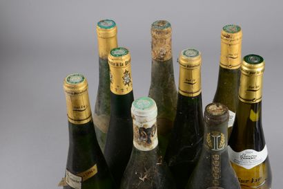 null 9 bouteilles MUSCADET SEVRE ET MAINE DIVERS (2 G. Bossard 1996, eta, 2 "expression...