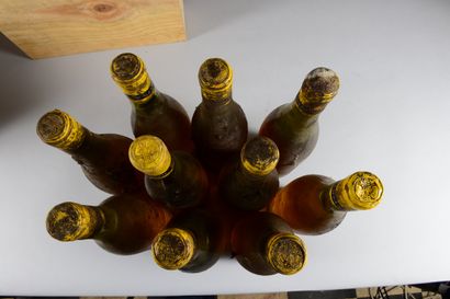 null 10 bouteilles VIN BLANC (SE, 8 TLB avec belle couleur, 2 MB évoluées, probablement...