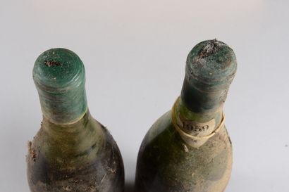 null 2 bouteilles CORTON Henri Gaunoux 1959 (es, 1 MB, 1 V, écusson millésime ab...