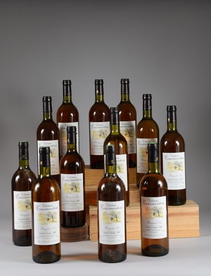 12 bouteilles BERGERAC Château Tourmentine...