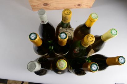 null 11 bouteilles POUILLY FUISSÉ (2 SE, 4 "cuvée Hors Classe" Ferret 2018 et 1 de...