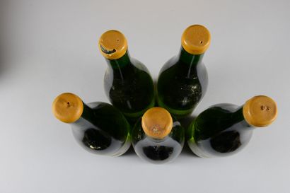 null 5 bottles SANCERRE "Les Monts Damnés", François Cotat 2003 (elt, ela, 2 J, damaged...