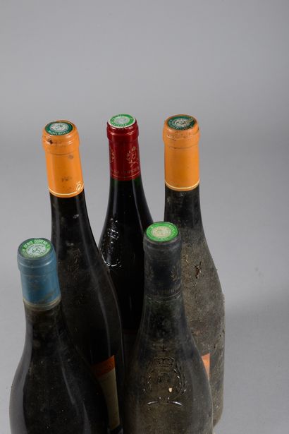 null 5 bottles LOIRE red WINES (2 Coteaux du Loi "Tribute to Louis Derré" 2003 Bellivière,...