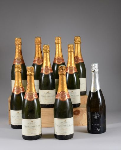 null 9 bouteilles BLANQUETTE DE LIMOUX "Méthode Ancestrale", Antech (Doux et Fruité;...