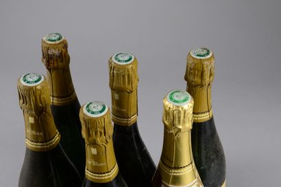 null 6 bouteilles CHAMPAGNE de Sousa & Fils ("Zoémie", differentes époques; 3 Brut...