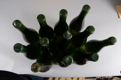 null 12 bottles SANCERRE "Les Culs de Beaujeu", François Cotat 2014 (4 of 2011, 7...