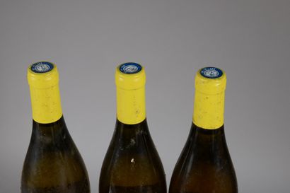 null 3 bouteilles VDP GARD, Roc d'Anglade 2009 (es, elt, blanc)