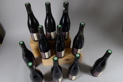 null 11 bouteilles SAUMUR CHAMPIGNY "Franc de pied"; Thierry Germain 2017 (Domaine...