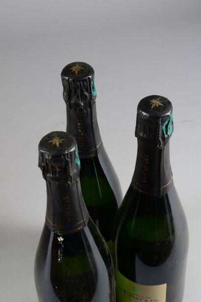 null 3 bottles CHAMPAGNE "Terroirs", Pascal Agrapart (elt)