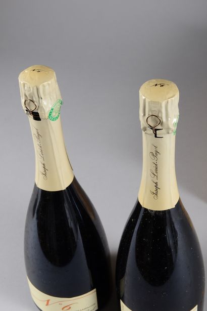 null 2 bottles CHAMPAGNE "cuvée N°6", J. Loriot-Pagel 2006