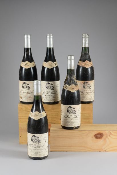 5 bouteilles BOURGUEIL PJ Druet 1989 (et,...