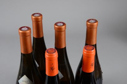 null 6 bouteilles SAVENNIÈRES DIVERS (4 Roche aux Moines 2015 Damien Laureau, 2 Petites...