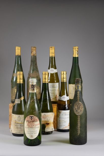 null 9 bouteilles MUSCADET SEVRE ET MAINE DIVERS (2 G. Bossard 1996, eta, 2 "expression...