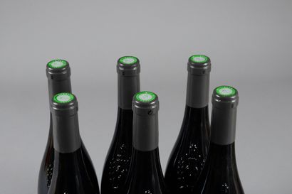 null 6 bouteilles SAUMUR-CHAMPIGNY "Le Grand Clos", Château de Villeneuve 1997